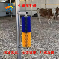微信图片_20240815184352_副本