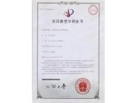 专利3