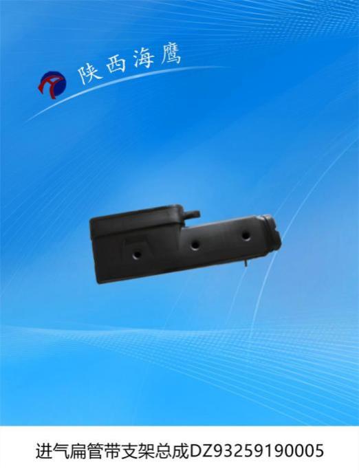 进气扁管带支架总成DZ93259190005