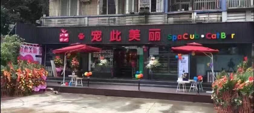 2016年：为满足新城区客户需求，宠此美丽凤凰城店开业。