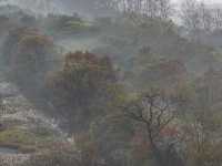 DJI_20231029065432_0079_D