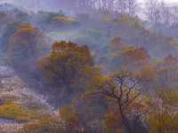 DJI_20231029065432_0079_D-1