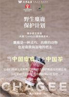 微信图片_20241125104844