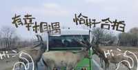 微信图片_20250514164714