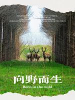 微信图片_20250515094615