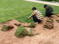 image-20250120103156-1