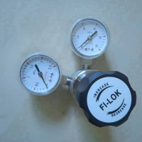 image-20240706110147-1