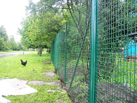 image-20240712173339-1