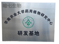 研发基地