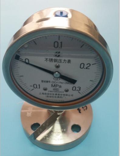 法兰式隔膜耐震压力表Y-100B-FZZMFB316L