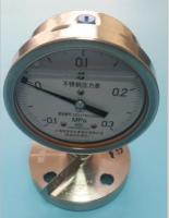 法兰式隔膜耐震压力表Y-100B-FZZMFB316L