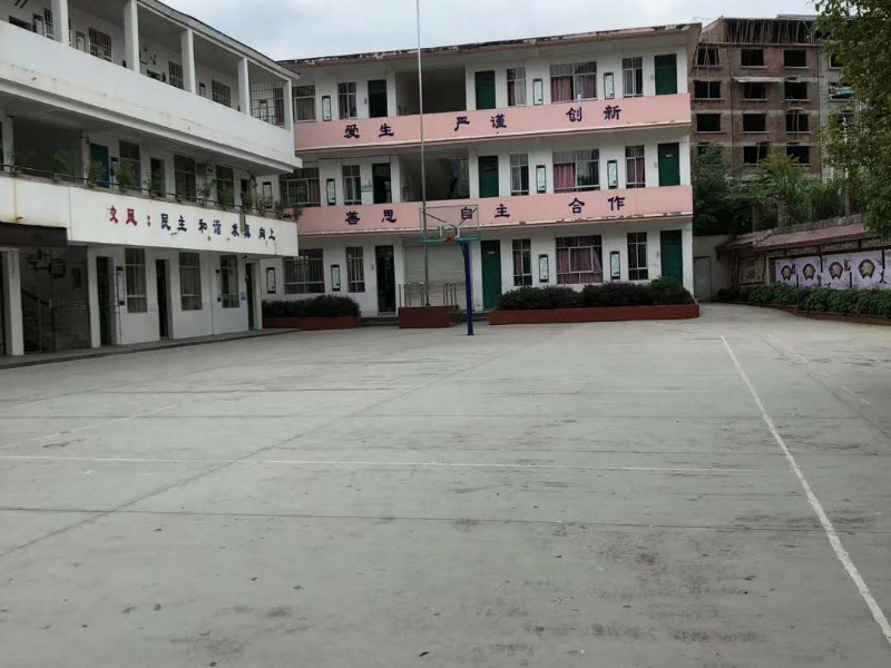 学校白蚁防治-1