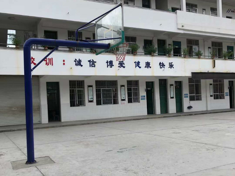 学校白蚁防治-4