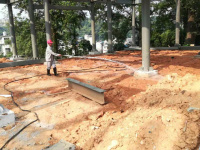 新建房屋白蚁防治-4