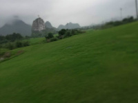 四害防治-3