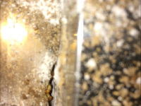 麦克斯-3