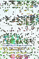 image-20240731161927-8