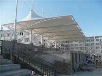 体育看台膜结构-3-