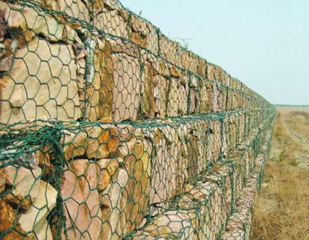 image-20240802161924-1