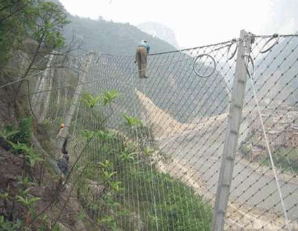 image-20240802162005-1