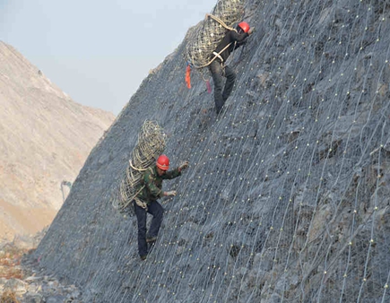 image-20240802162050-1