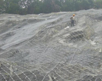 image-20240802162102-1