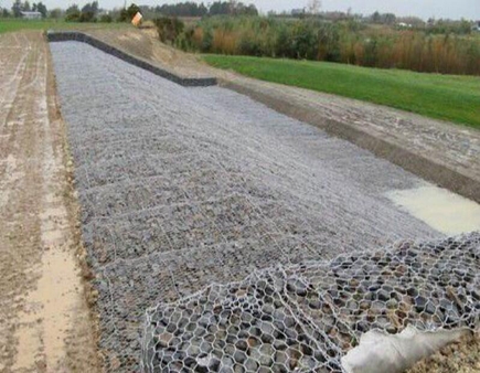 image-20240802162116-1