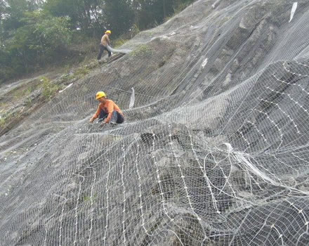 image-20240802162126-1