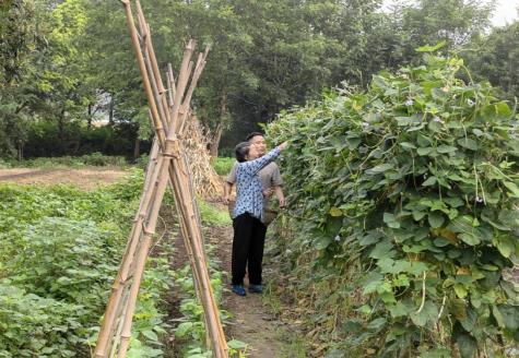 微信图片_20250908114234_119_350