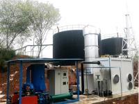 全自动填埋场沼气火炬