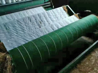image-20240809101815-1