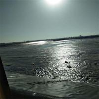 image-20240809110028-4