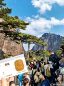 五一新闻通稿667