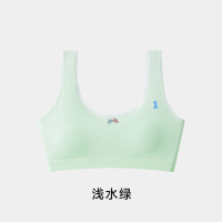 02-浅水绿