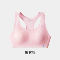 02-桃雾粉