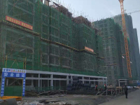案例展示-5