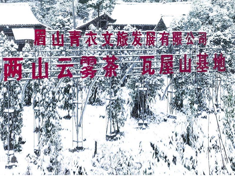 桌山春雪-3