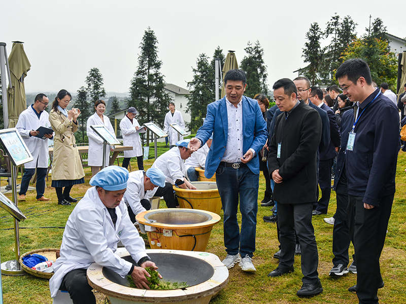 洪雅县春茶采摘暨品鉴会展销会-6