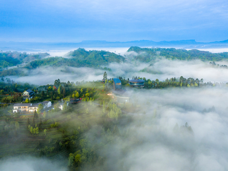 茶客空间-1