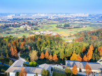 茶客空间-3