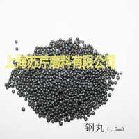 钢丸-10