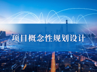 项目概念性规划设计