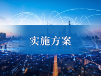 实施方案