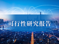 可行性研究报告