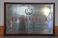 荣誉证书-9