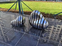 image-20240607093201-1