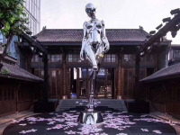 image-20240607094206-1