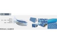 胶膜10