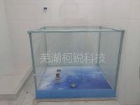 玻璃池-1-