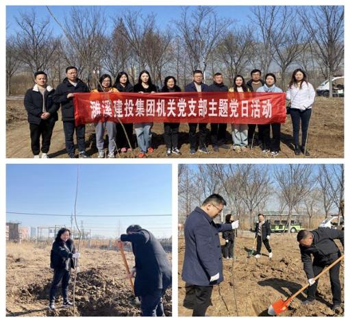 濉溪建投集团机关支部开展义务植树主题党日活动